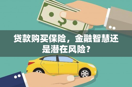 临沧贷款购买保险，金融智慧还是潜在风险？