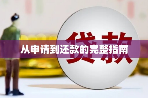 临沧从申请到还款的完整指南