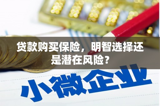 临沧贷款购买保险，明智选择还是潜在风险？