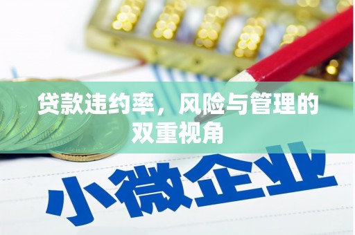临沧贷款违约率，风险与管理的双重视角