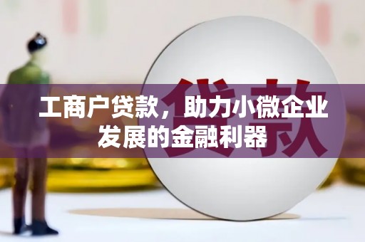 临沧工商户贷款，助力小微企业发展的金融利器