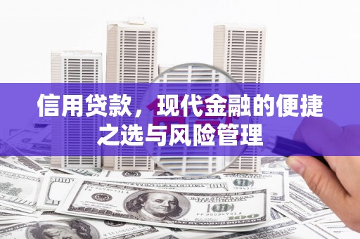 临沧信用贷款，现代金融的便捷之选与风险管理