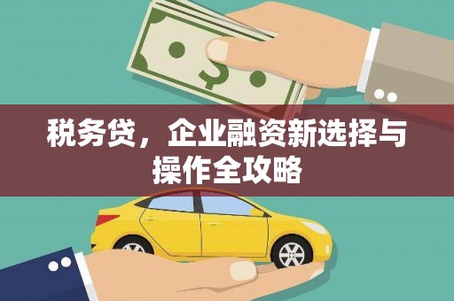 临沧税务贷，企业融资新选择与操作全攻略