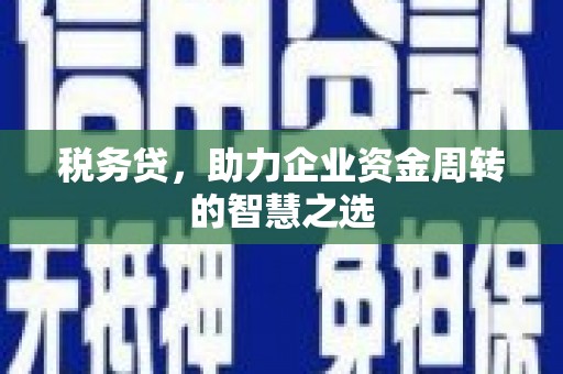 临沧税务贷，助力企业资金周转的智慧之选