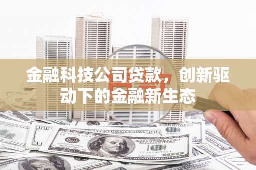 临沧金融科技公司贷款，创新驱动下的金融新生态