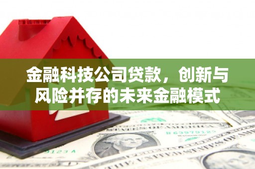 临沧金融科技公司贷款，创新与风险并存的未来金融模式