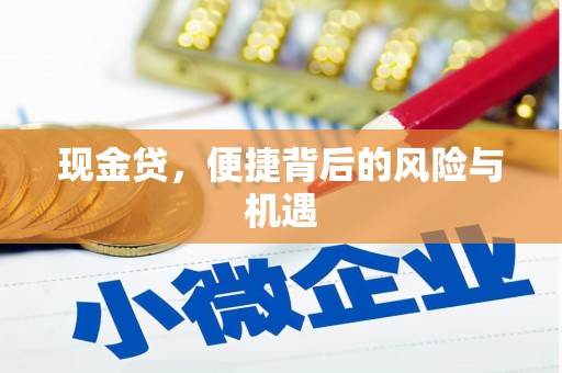 临沧现金贷，便捷背后的风险与机遇