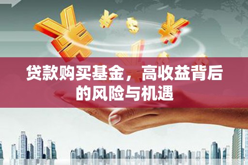 临沧贷款购买基金，高收益背后的风险与机遇