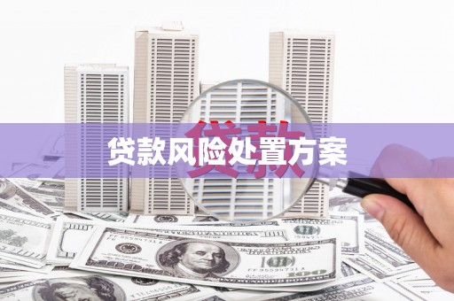临沧贷款风险处置方案