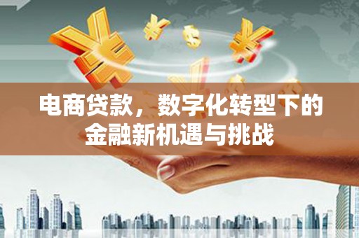 临沧电商贷款，数字化转型下的金融新机遇与挑战