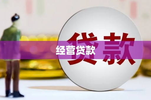临沧经营贷款