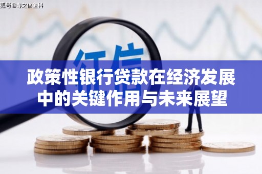 临沧政策性银行贷款在经济发展中的关键作用与未来展望