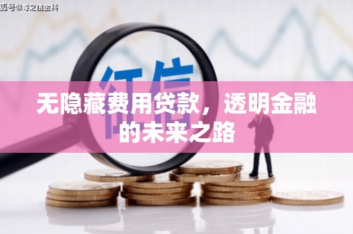 临沧无隐藏费用贷款，透明金融的未来之路