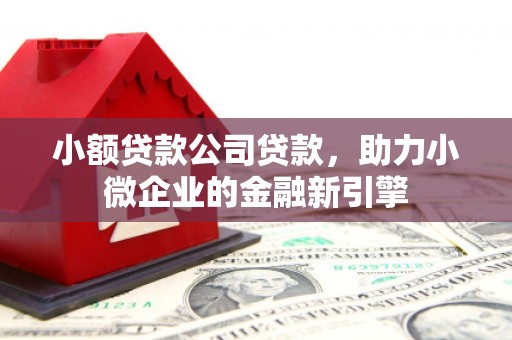 临沧小额贷款公司贷款，助力小微企业的金融新引擎