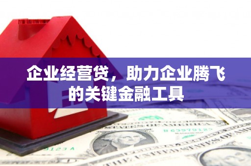 临沧企业经营贷，助力企业腾飞的关键金融工具