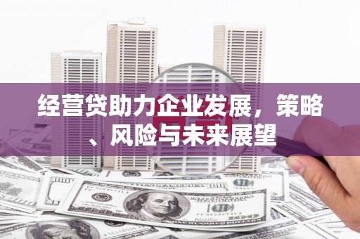 临沧经营贷助力企业发展，策略、风险与未来展望