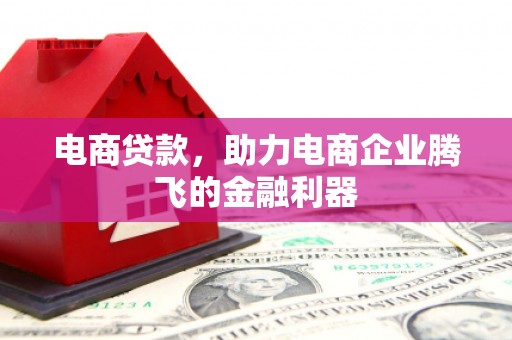 临沧电商贷款，助力电商企业腾飞的金融利器