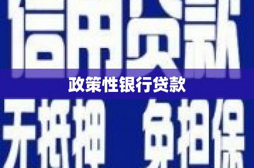 临沧政策性银行贷款