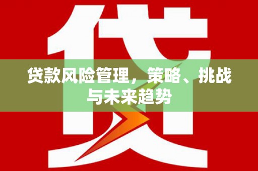临沧贷款风险管理，策略、挑战与未来趋势