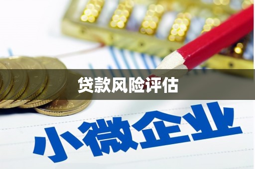 临沧贷款风险评估