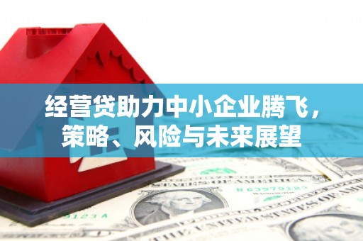 临沧经营贷助力中小企业腾飞，策略、风险与未来展望