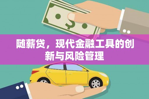 临沧随薪贷，现代金融工具的创新与风险管理