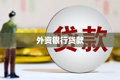 临沧外资银行贷款