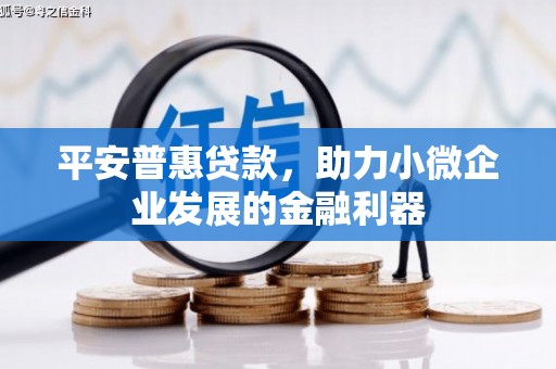 临沧平安普惠贷款，助力小微企业发展的金融利器