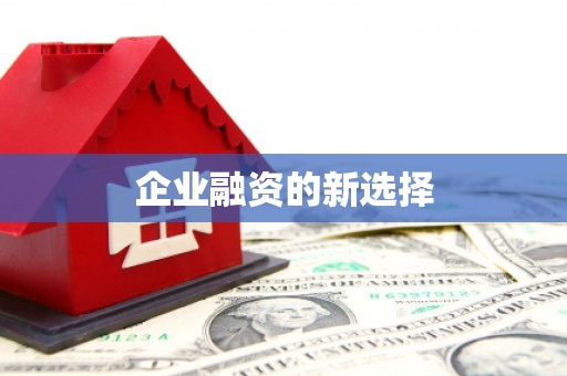 临沧企业融资的新选择