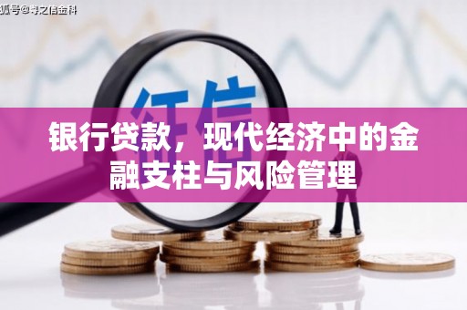 临沧银行贷款，现代经济中的金融支柱与风险管理