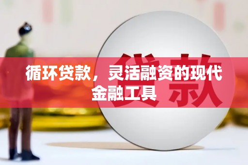临沧循环贷款，灵活融资的现代金融工具