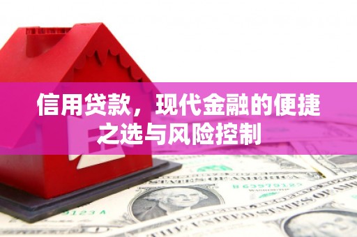 临沧信用贷款，现代金融的便捷之选与风险控制