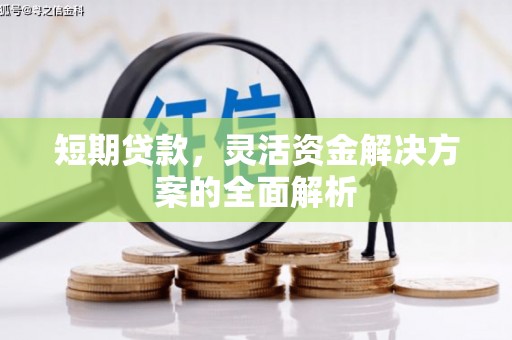 临沧短期贷款，灵活资金解决方案的全面解析