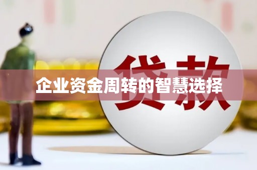 临沧企业资金周转的智慧选择