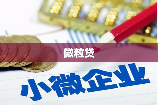 临沧微粒贷