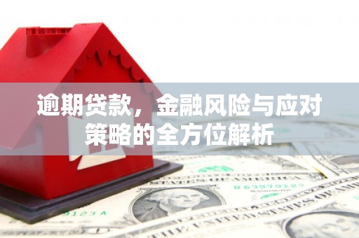 临沧逾期贷款，金融风险与应对策略的全方位解析