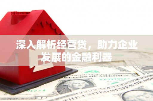 临沧深入解析经营贷，助力企业发展的金融利器