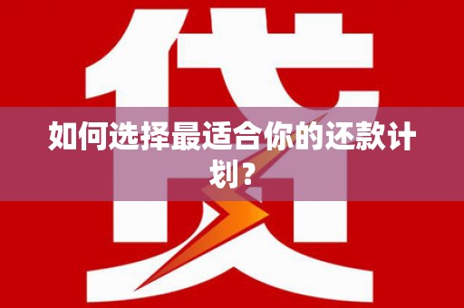 临沧如何选择最适合你的还款计划？
