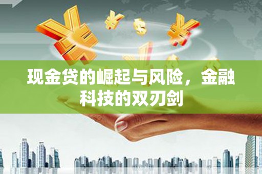 临沧现金贷的崛起与风险，金融科技的双刃剑