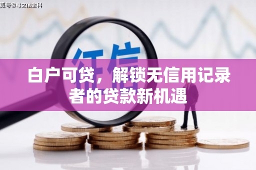 临沧白户可贷，解锁无信用记录者的贷款新机遇