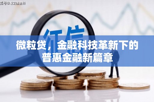 临沧微粒贷，金融科技革新下的普惠金融新篇章