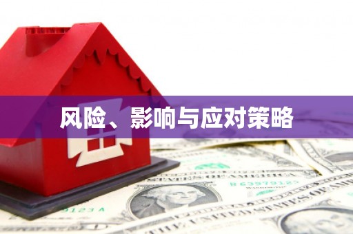 临沧风险、影响与应对策略