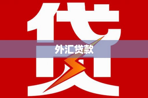 临沧外汇贷款