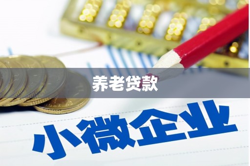 临沧养老贷款
