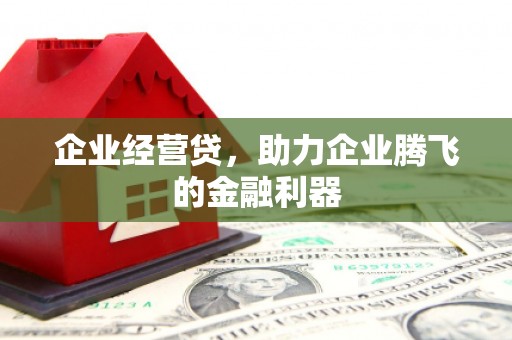 临沧企业经营贷，助力企业腾飞的金融利器