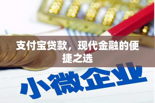 临沧支付宝贷款，现代金融的便捷之选