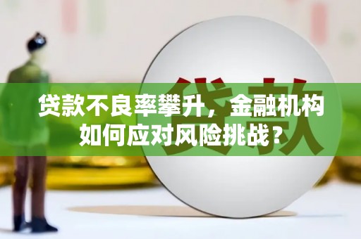 临沧贷款不良率攀升，金融机构如何应对风险挑战？
