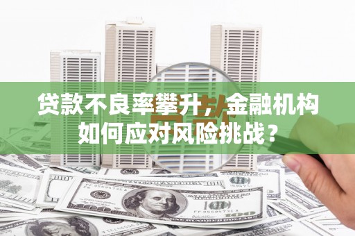 临沧贷款不良率攀升，金融机构如何应对风险挑战？