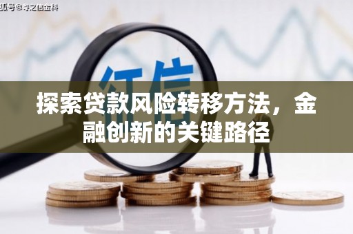 临沧探索贷款风险转移方法，金融创新的关键路径