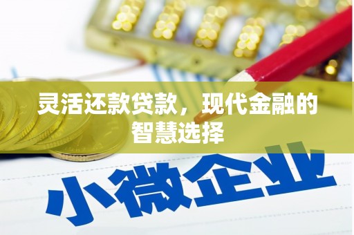 临沧灵活还款贷款，现代金融的智慧选择